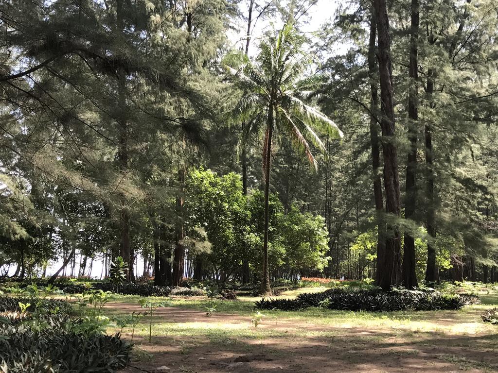 Coconut Bungalow Nai Yang Beach 외부 사진