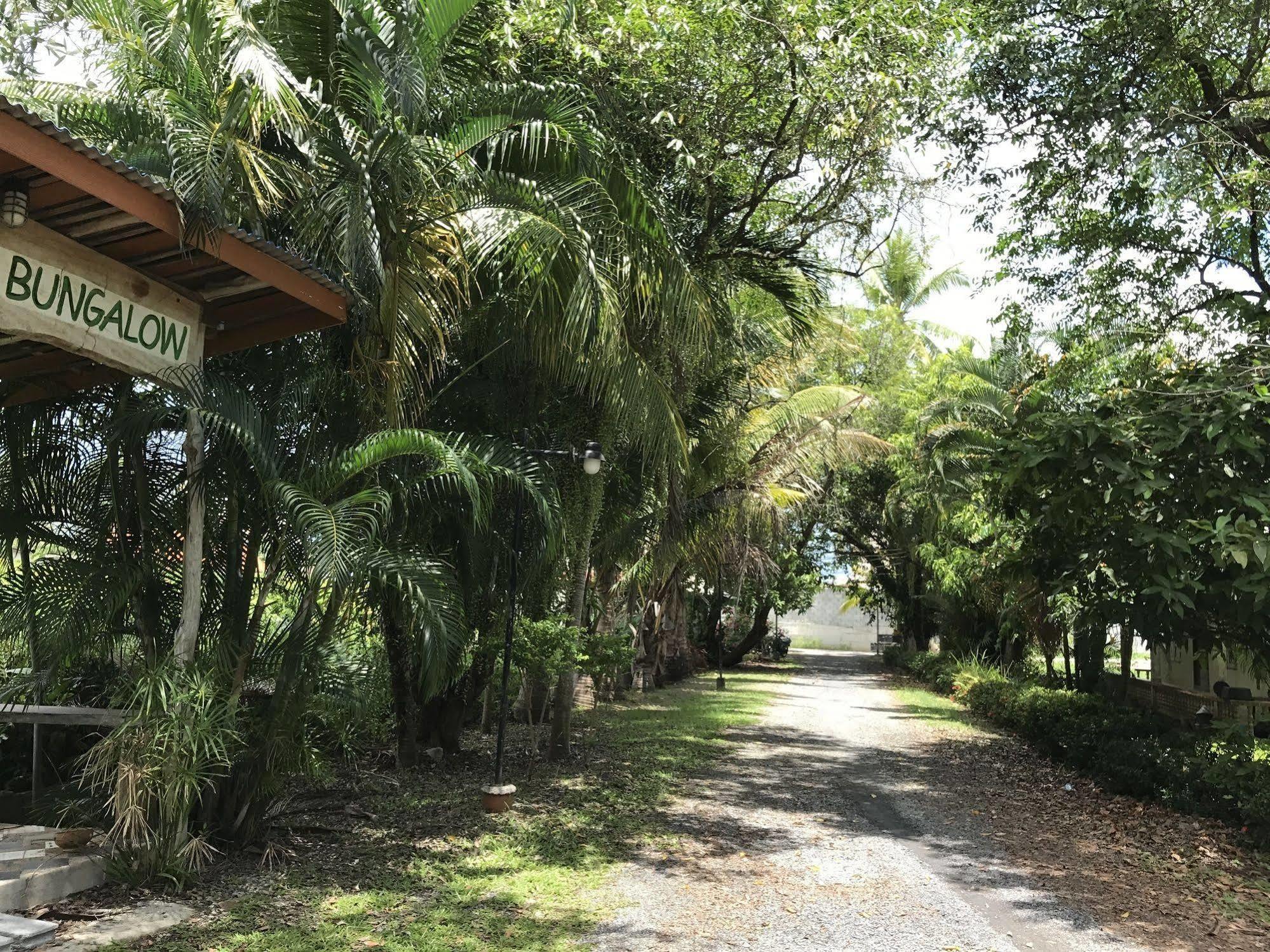 Coconut Bungalow Nai Yang Beach 외부 사진